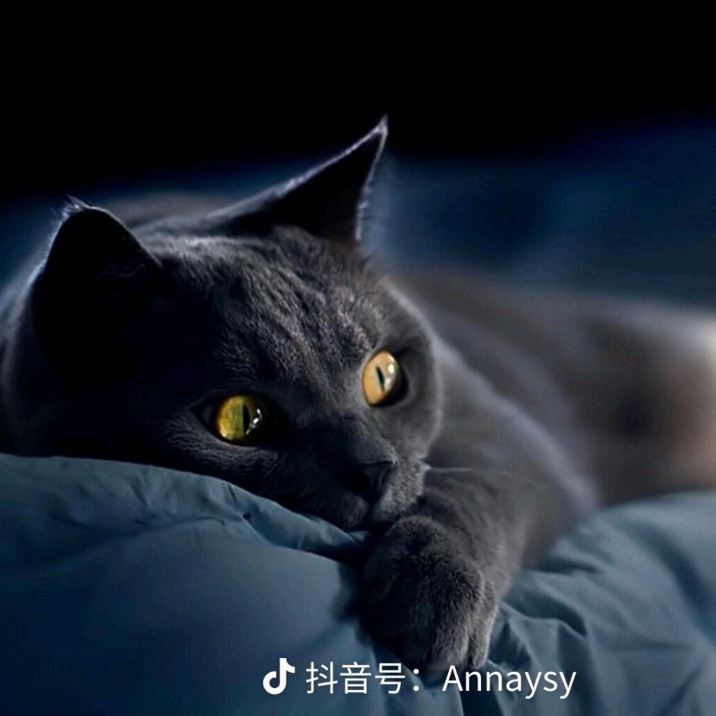 冬日暖阳