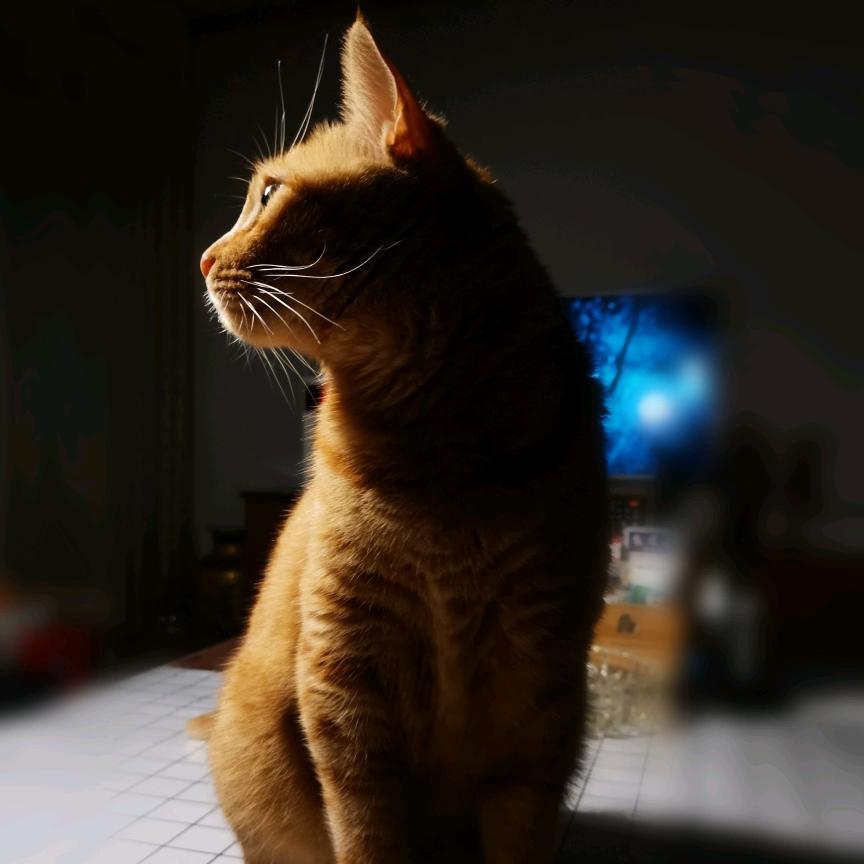 小猪佩奇妈
