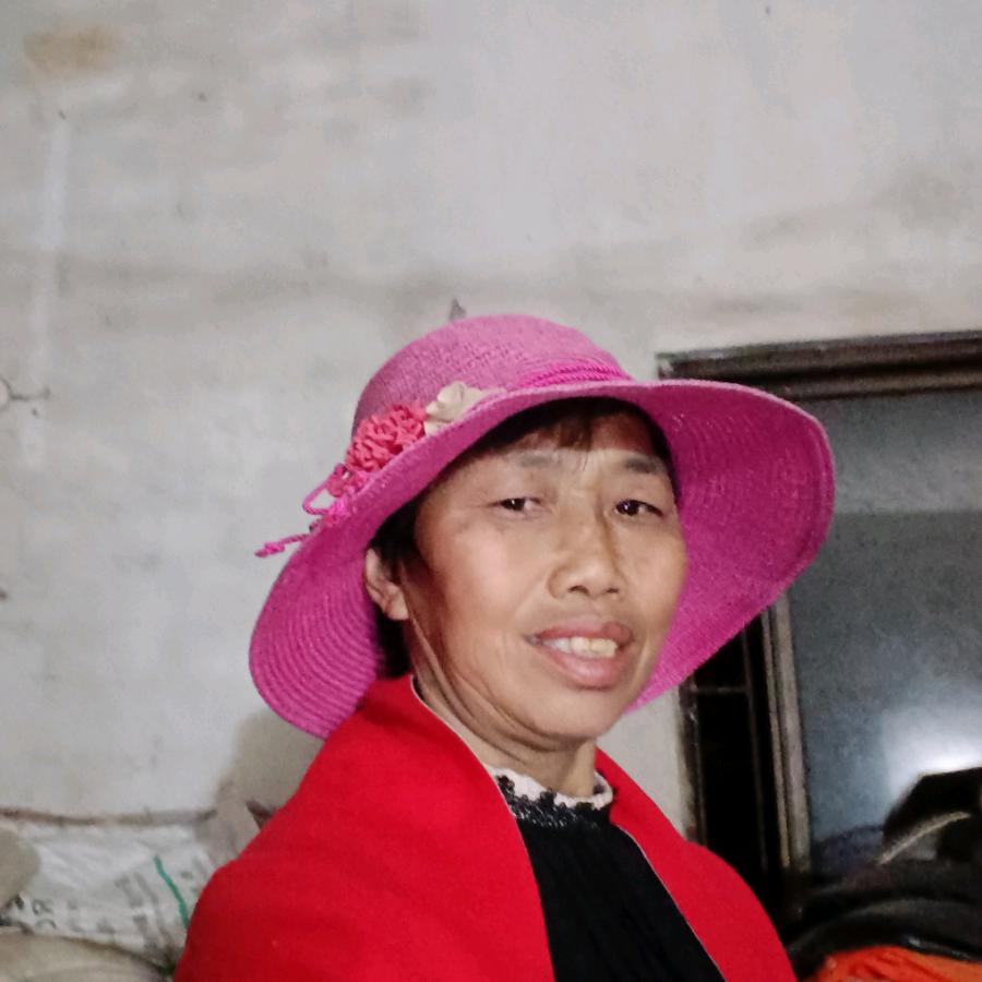 傻姐