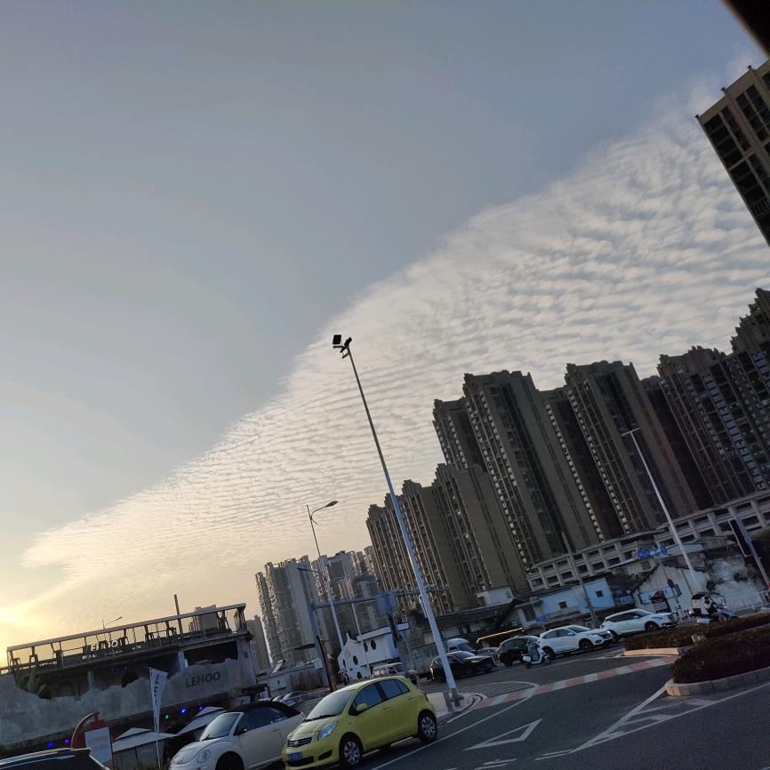 陈先森😁