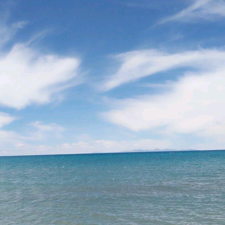 倾城城城