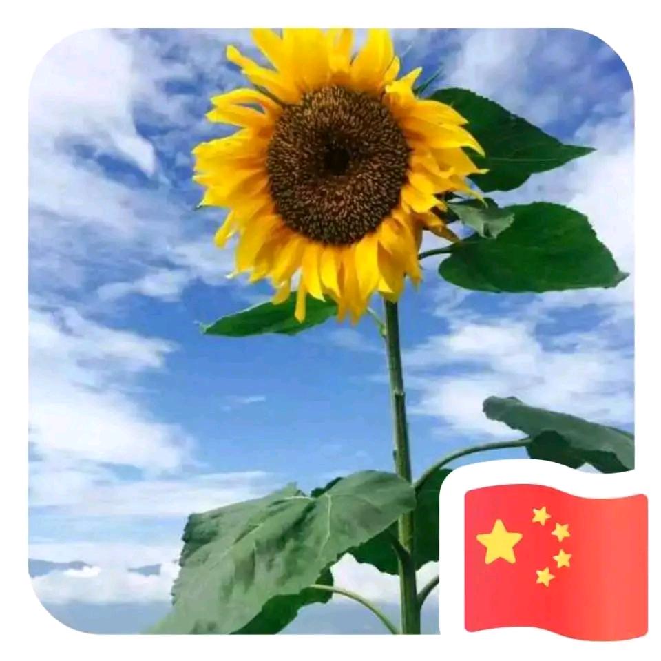 小贾:开心每一天