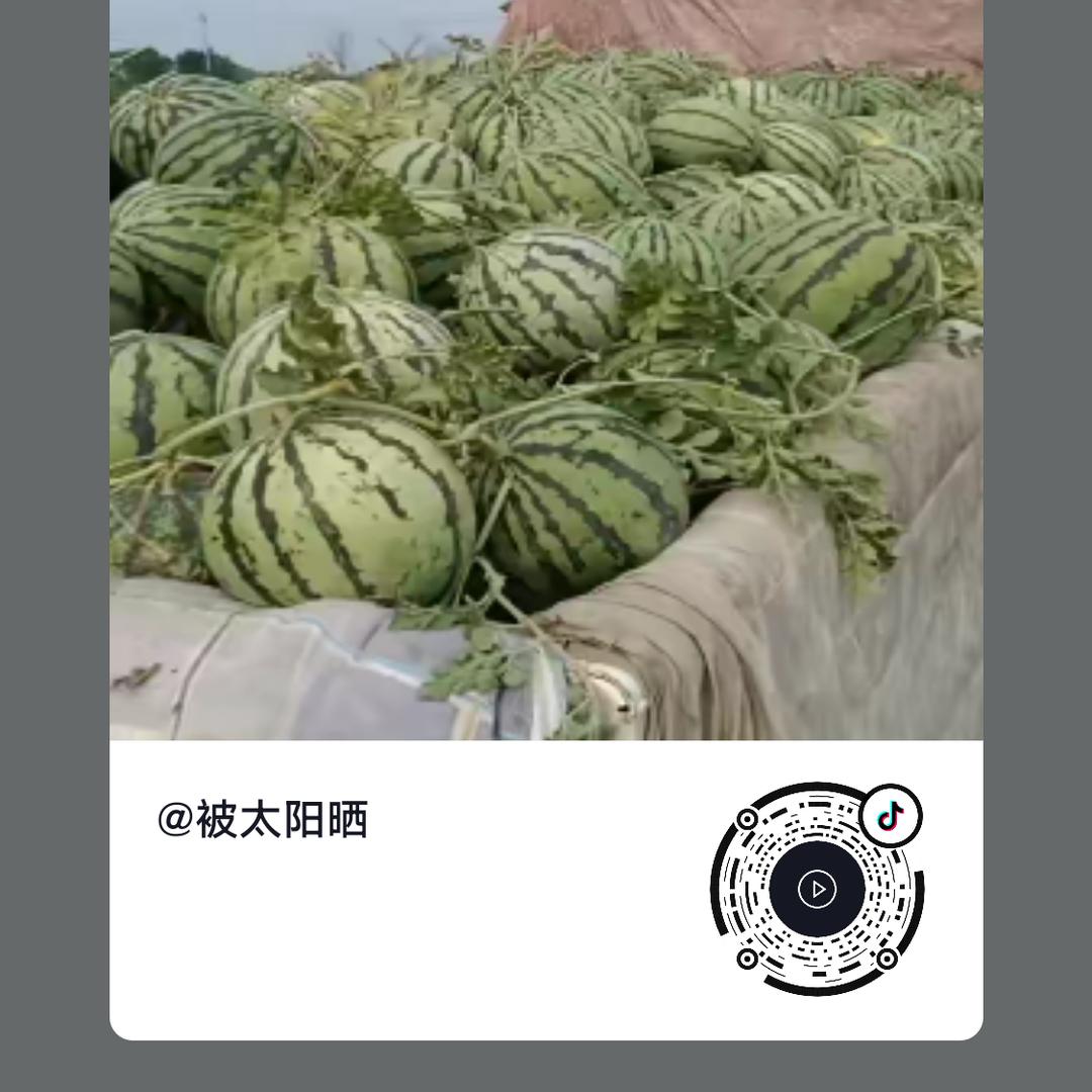 种瓜的老表