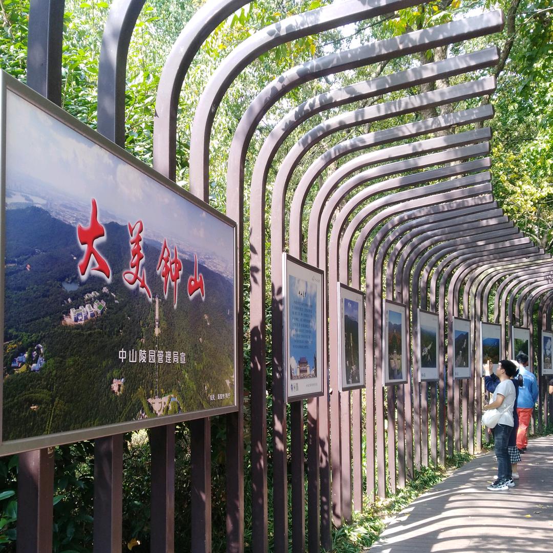 易拉罐/塑料瓶压扁机 拆包机 粉碎撕碎机