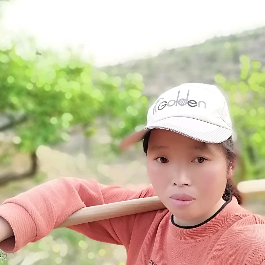 我心飞扬