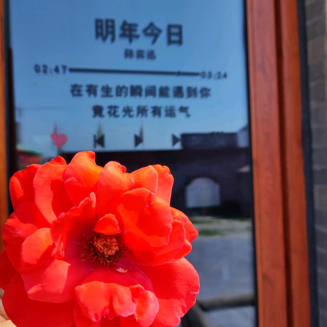 珠珠👩‍👦‍👦