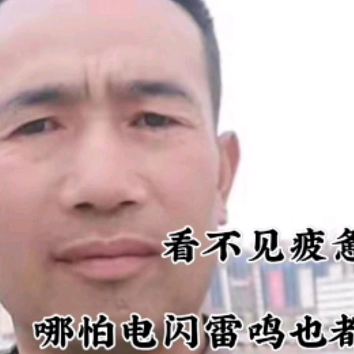 风中雨