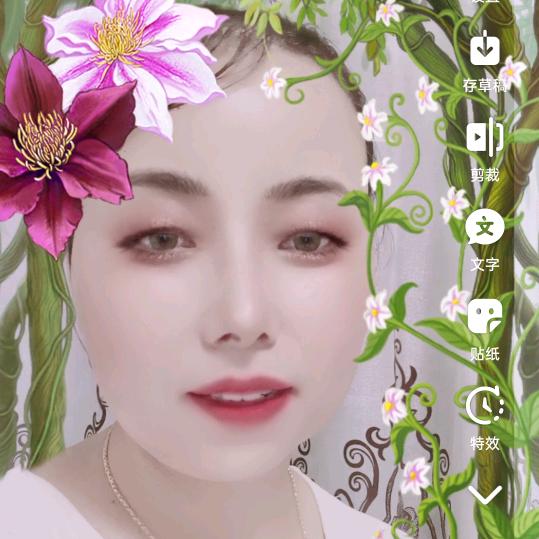 湖南芳姐