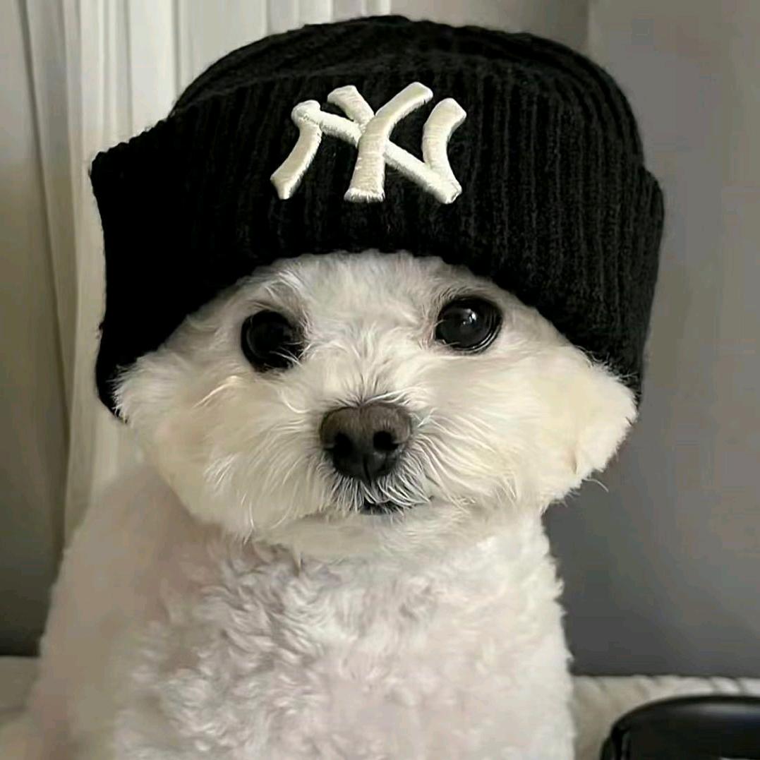 小陈同学吖