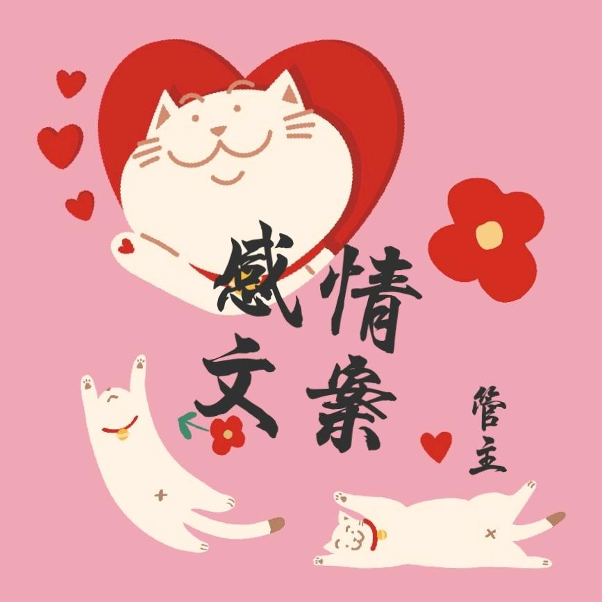 全全文案