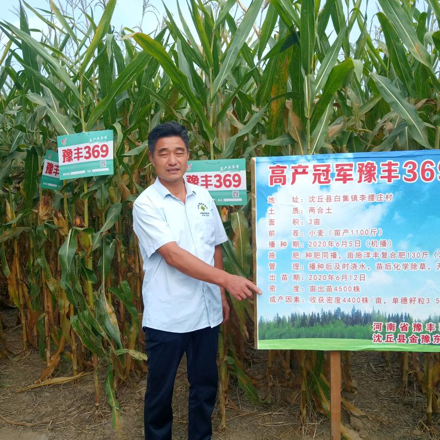 沈丘范营乡韩红星农资店老韩