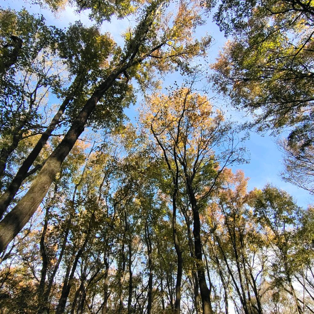 人生下半场小白镀金边