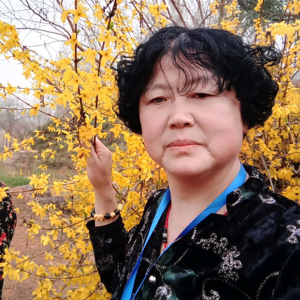 河南孟姐