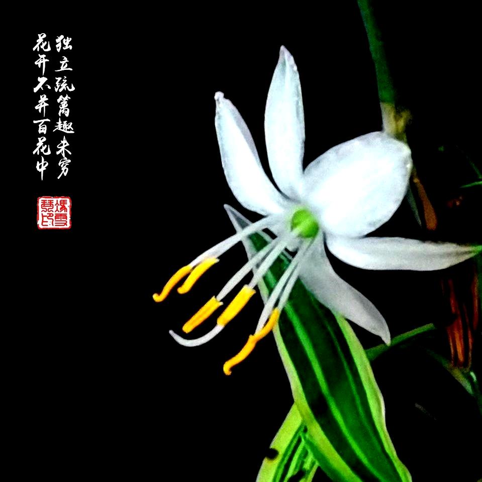 学勤头像