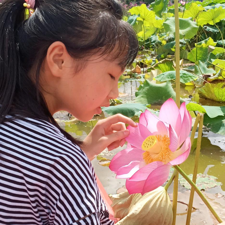 （刘）在❤️里