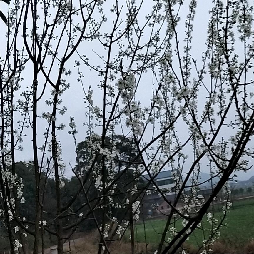 ᦦ້ᮨ꯭໌ꦿᮨ护☘你࿐周全💞