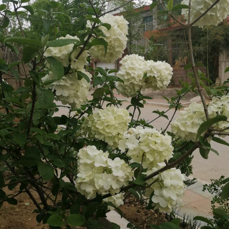 张琳784