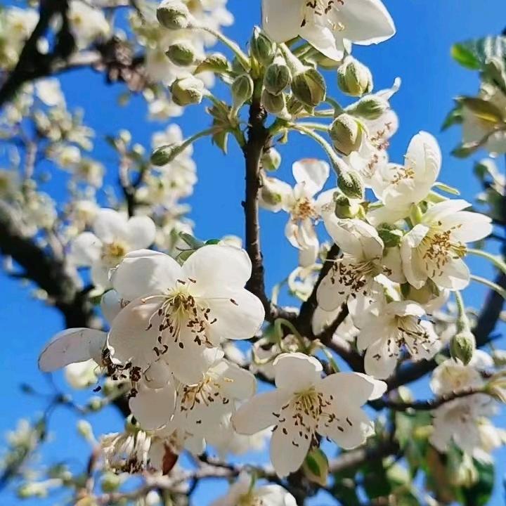 一生不变，一路有你，