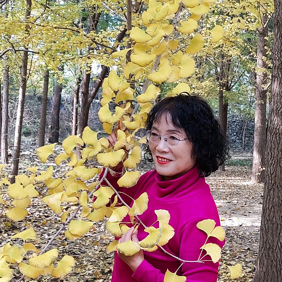 张权珍