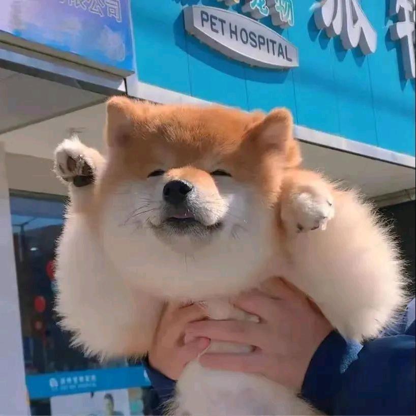 需要富婆的美男子