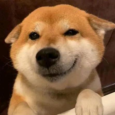 志志剪辑
