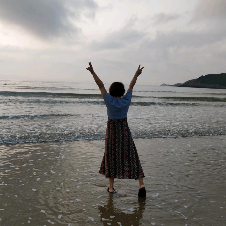 梧桐树上一只鸟