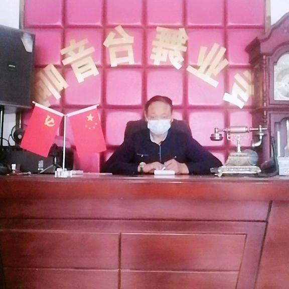 特美声文化传媒