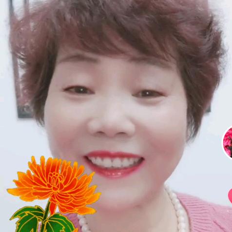 春暖花开🌸