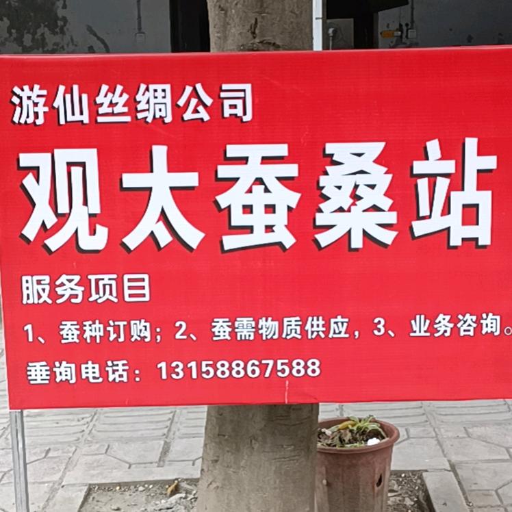 观太蚕桑贾邦金