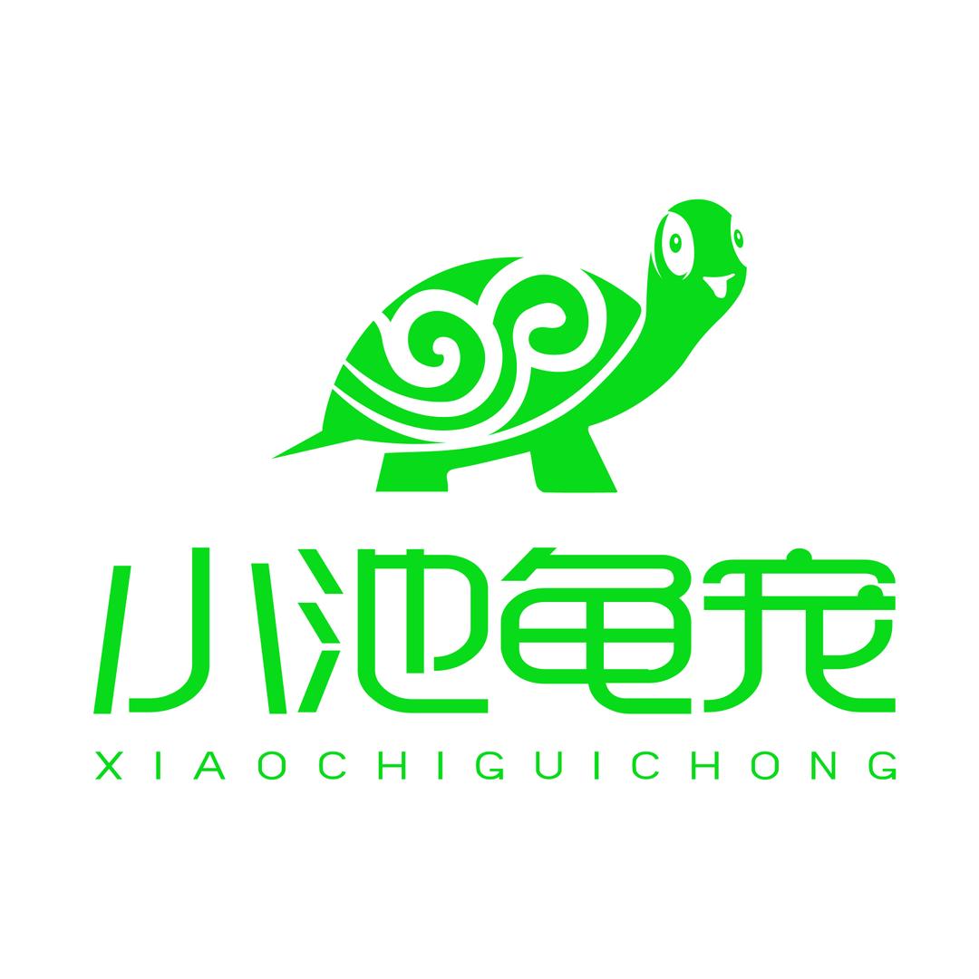 小池龟宠