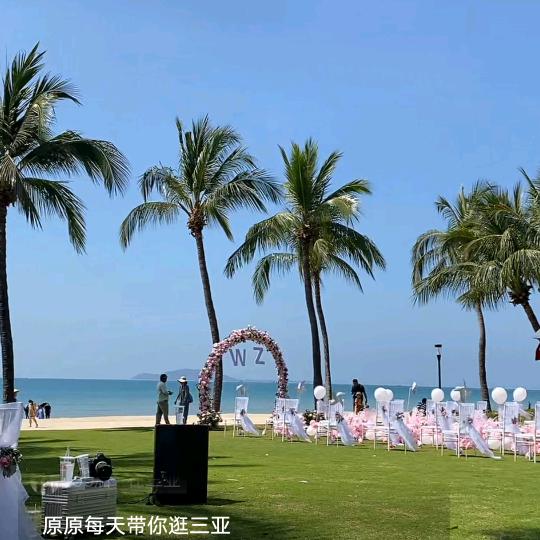 梦中的婚礼