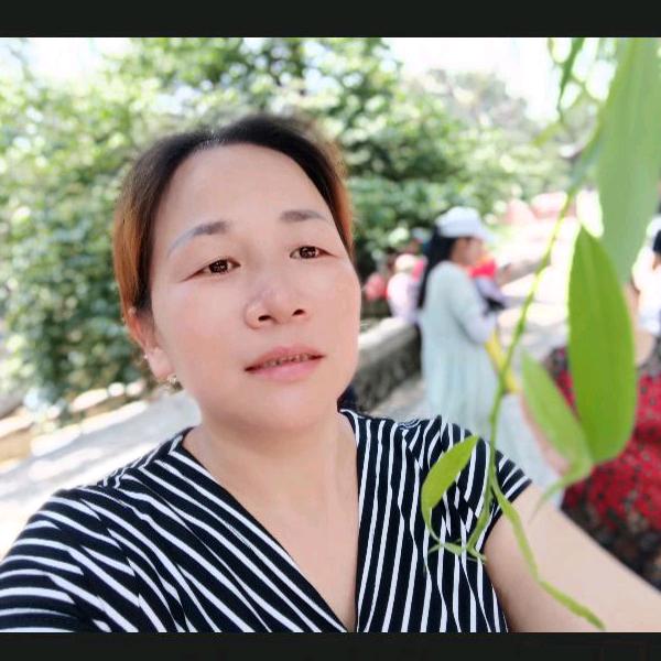 陈忠意