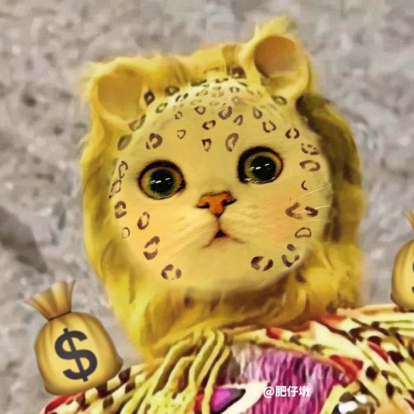 大肥猫～喵