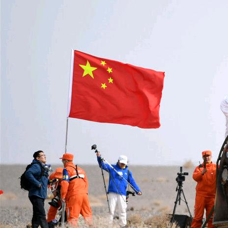 伐木丁丁🇨🇳