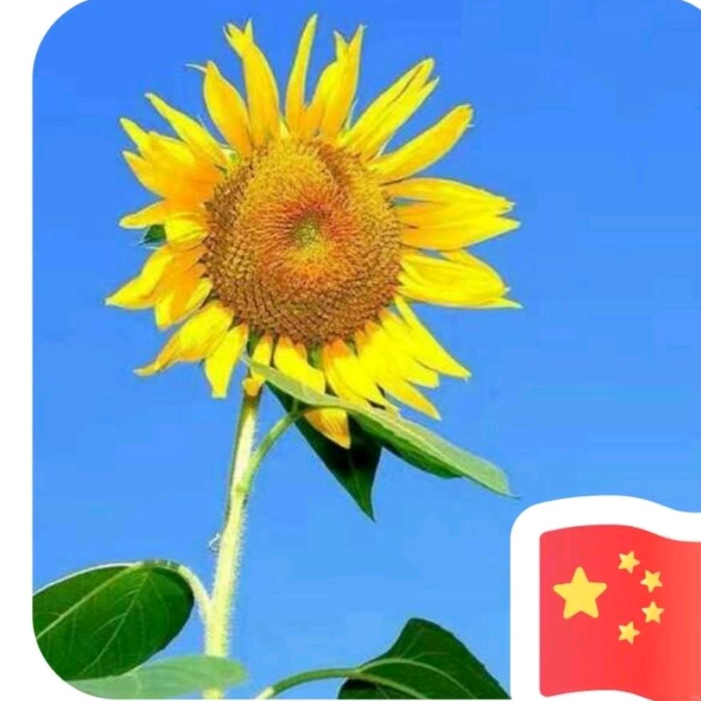 心若移动，如何联通