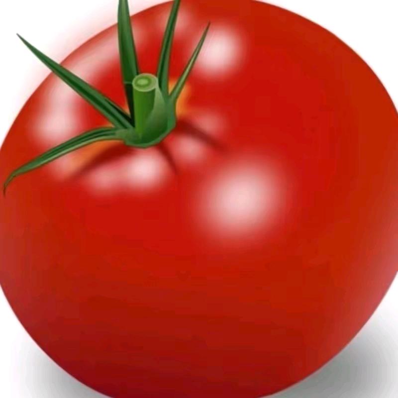 大番茄