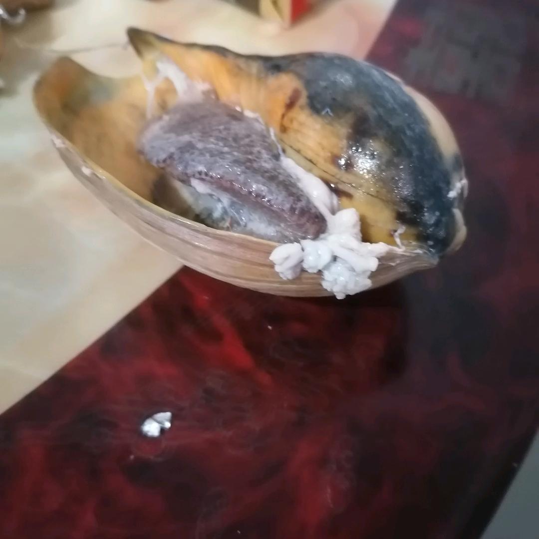 自由的飞翔