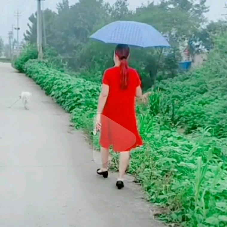 兰花