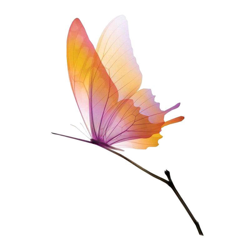 贝贝熊武汉大悦城店