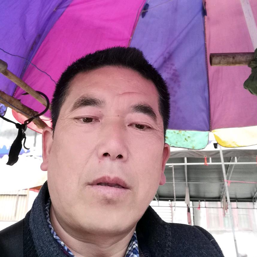 溪口黄牛养殖场