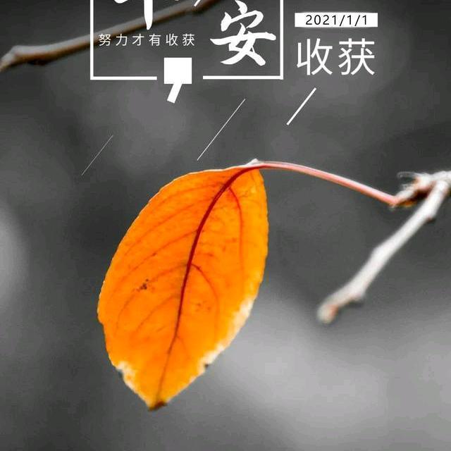 伴我多久@