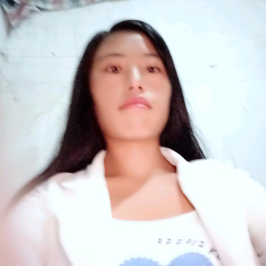 动画片