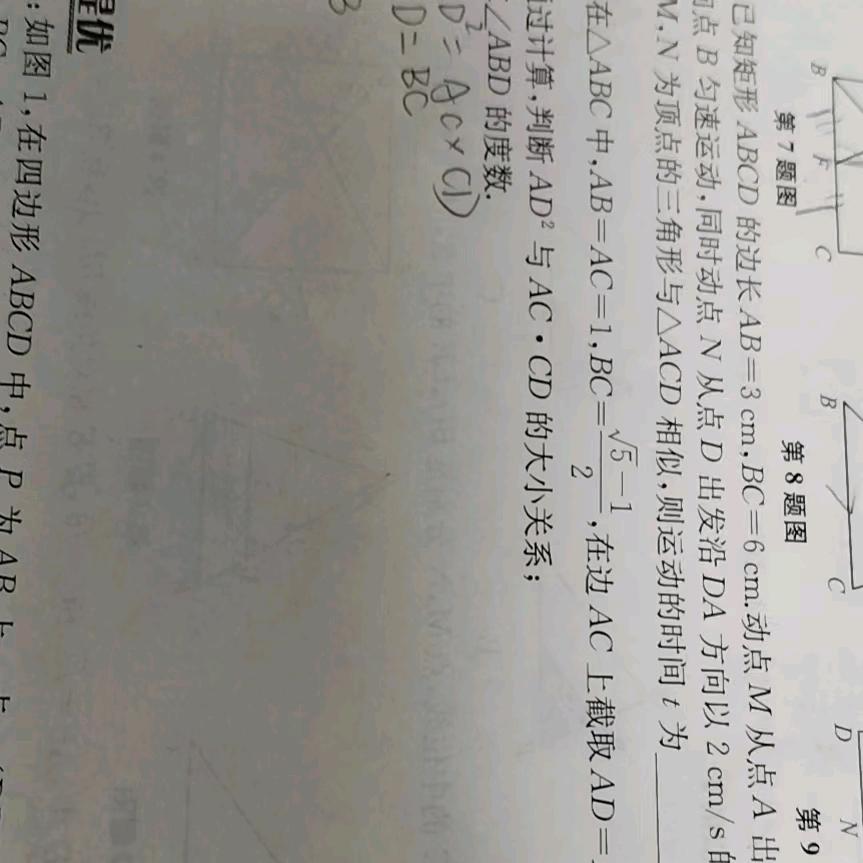 王老师