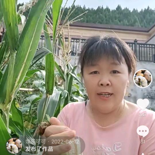 农村可可