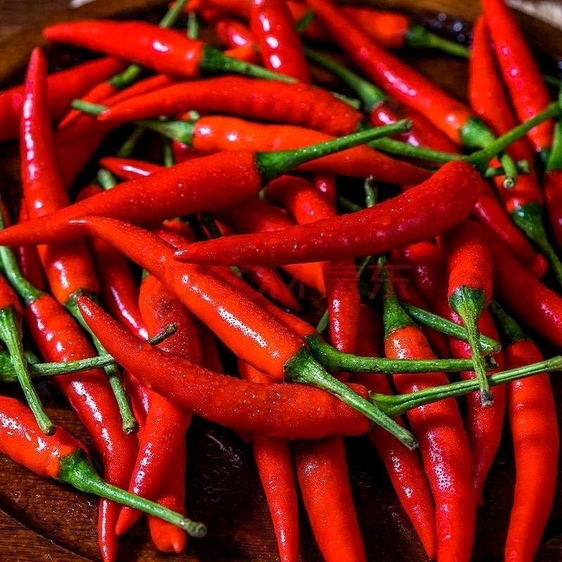 雄伟工程机械租赁有限公司