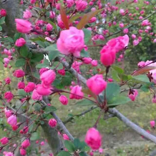 美好的明天从今开始