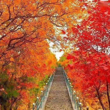 春暖花开