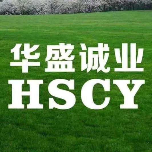 深圳除甲醛地毯清洗