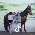 梦与想