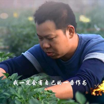 肖胜蓝的辣椒园
